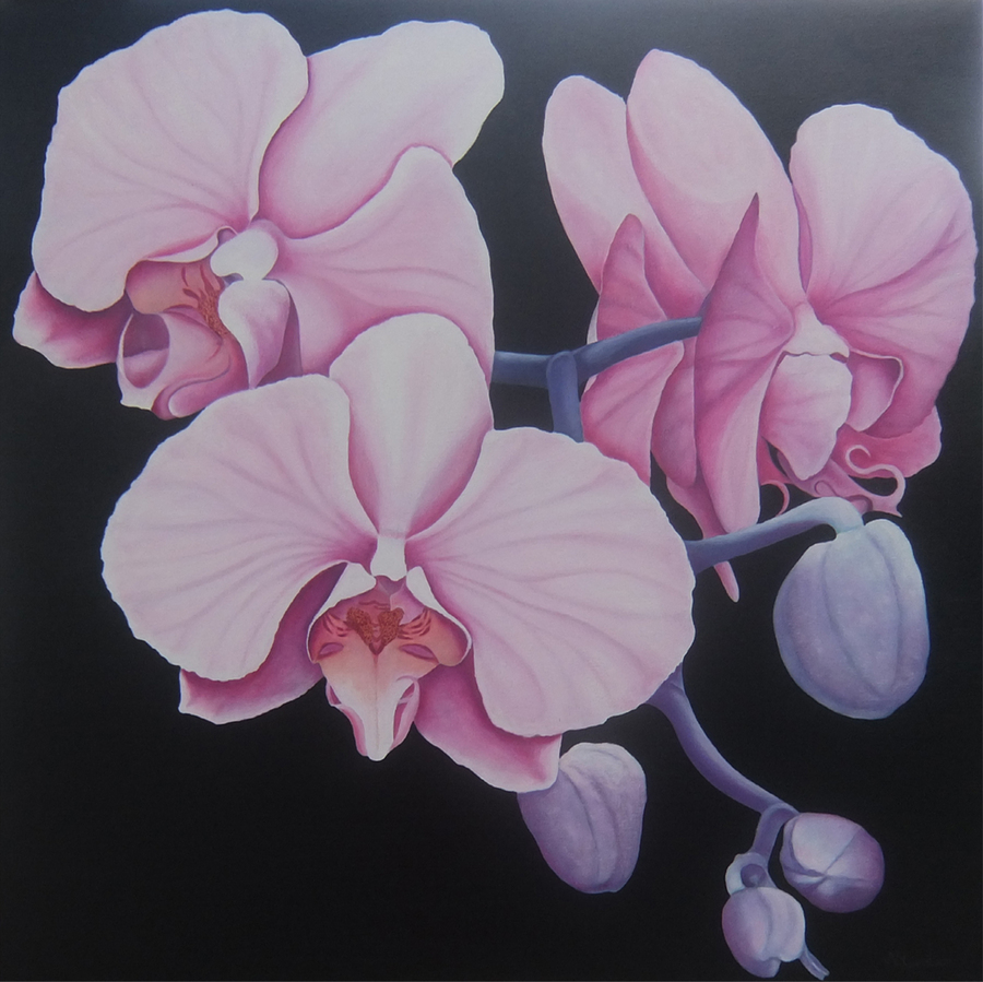 155fb-orchidee kaartzwart.jpg